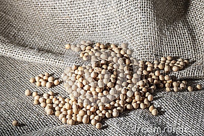 Brazilian soybean seeds on jute background Stock Photo