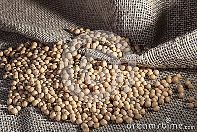 Brazilian soybean seeds on jute background Stock Photo