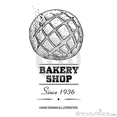 Bread bun top view sketch drawing. Hand drawn sketch style bakery shop product. Fresh morning baked food vector illustration for m Vector Illustration