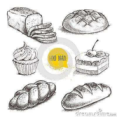 Bread, cake with cherry and cream cupcake on white background. Vector Illustration