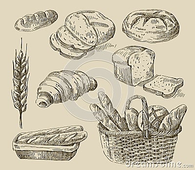 Bread doodle Vector Illustration