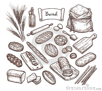 Bread and Ingredients. Vector Illustration