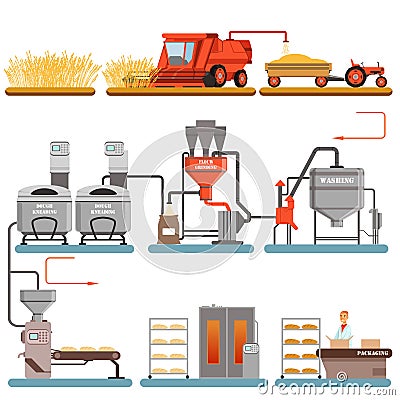 Bread production process stages from wheat harvest to freshly baked bread vector Illustrations Vector Illustration
