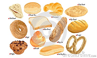 Bread Set Vector Illustration