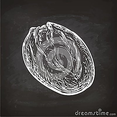 Bread sketch on chalkboard Vector Illustration