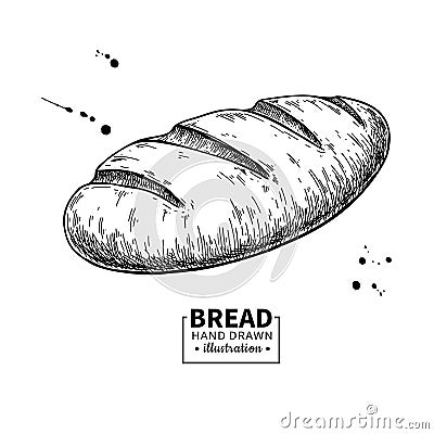 Bread vector drawing. Bakery product sketch. Vintage food Vector Illustration