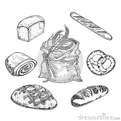 Bread, vector hand-drawn illustration of a set in graphic style.From different varieties of wheat, fresh bread, rolls, French Vector Illustration