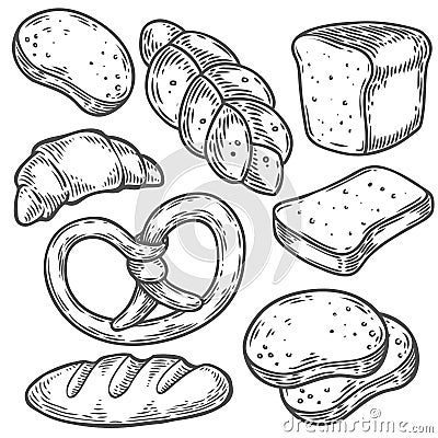 Bread vector hand drawn set illustration. Other types of wheat, flour bread. Vector Illustration