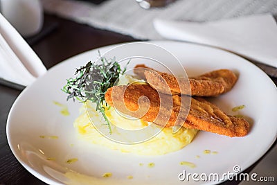 Breaded chicken fillet with mashed potato and rucola leaf. Stock Photo