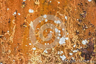 Breakdown, cracking and flaking of rusty brown metal surface. Stock Photo