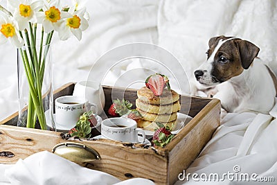 Breakfast in bed: cottage cheese pancakes, coffee and strawberries Stock Photo