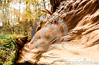 Breaking point Stock Photo