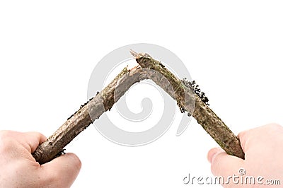 Hands breaking a dry twig Stock Photo