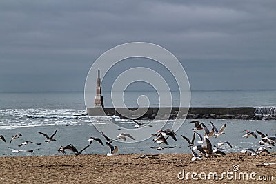 Breakwater and lighthouse of Aguda Beach in Porto Stock Photo