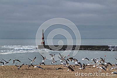Breakwater and lighthouse of Aguda Beach in Porto Stock Photo