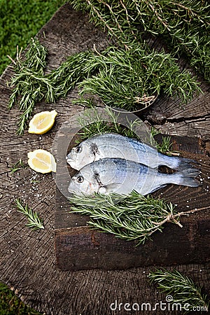 Bream fish Stock Photo