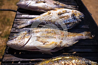 Bream sea fish on grill Stock Photo