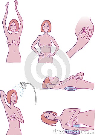 Breast diagnostic Vector Illustration