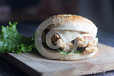 Stock photo of Zinger burger Stock Photo