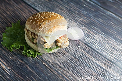 Stock photo of Zinger burger Stock Photo