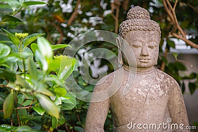 Breast-section of a meditative Buddha stone sculpture in the lotus seat in a garden in front of green bushes Stock Photo