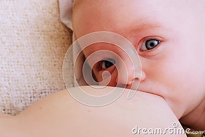Breastfeeding Stock Photo