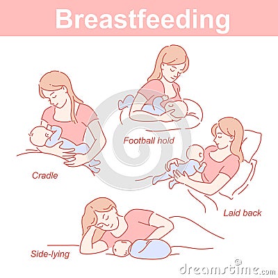 Breastfeeding positions set. Mother and baby together. Infographic for feeding start. Vector Illustration