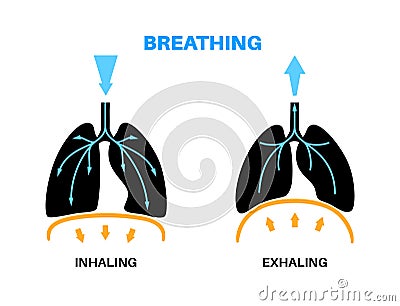 Breathing process poster Vector Illustration