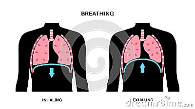 Breathing process poster Vector Illustration