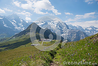 Breathtaking alpine landscape switzerland. meadow with bluebells. view to Tschuggen and Jungfrau mountain Stock Photo