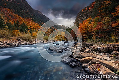 Breathtaking shot of a river in the forest with colorful trees under the cloudy sky in autumn Stock Photo