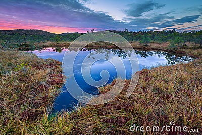 Breathtaking Tinovul Mohos with small lake at sunrise, Transylvania, Romania Stock Photo