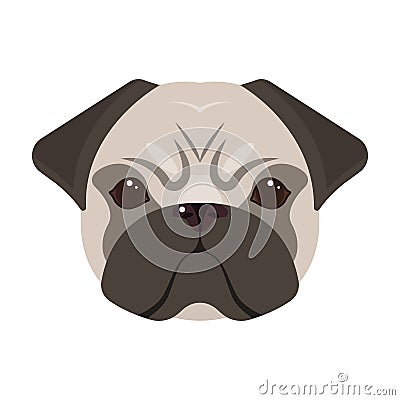 Breed of a dog, a pug.Pug`s muzzle single icon in cartoon style vector symbol stock illustration web. Vector Illustration