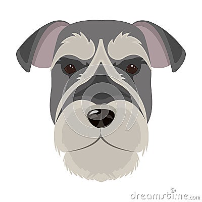 A breed of a dog, a risen schnauzer.Risen Schnauzer Muzzle single icon in cartoon style vector symbol stock illustration Vector Illustration