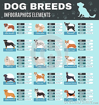 Breed Dogs Infographics Vector Illustration