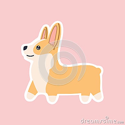 Breed walking welsh corgi sticker, kawaii funny little dog, cute face Vector Illustration