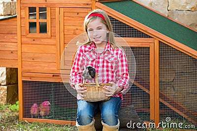 Breeder hens kid girl rancher farmer with chicks in chicken coop Stock Photo