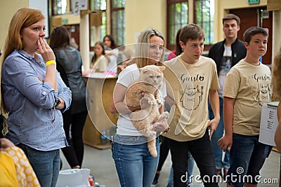 Breeder holds her Golden British Shorthair cat and is waiting for the competition results Editorial Stock Photo