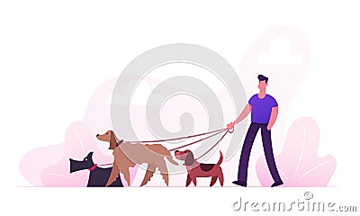 Breeder Male Character Walking with Dogs Team Relaxing in Park. Leisure Communication Love Care of Animals Outdoor Activity Vector Illustration