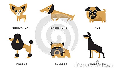 Breeds of Dogs Collection, Chihuahua, Dachshund, Pug, Poodle, Bulldog, Doberman Vector Illustration Vector Illustration