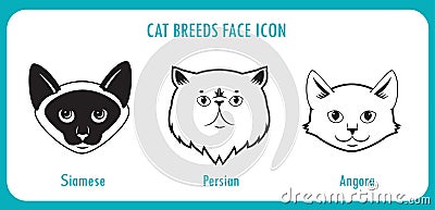 Cat breeds face icons. Angora, persian, siamese. Vector Illustration