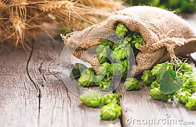 Brewery. Hope cones and wheat ears closeup. Beer production ingredients on wooden cracked table Stock Photo