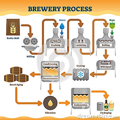 Brewery process vector illustration. Labeled beer ale making process scheme Vector Illustration