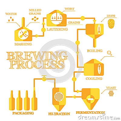 Brewing infographic Vector Illustration