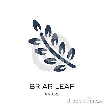 briar leaf icon in trendy design style. briar leaf icon isolated on white background. briar leaf vector icon simple and modern Vector Illustration