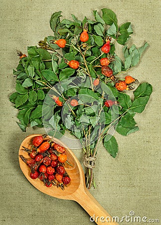 Briar, wild rose. Dried herbs. Herbal medicine, phytotherapy med Stock Photo
