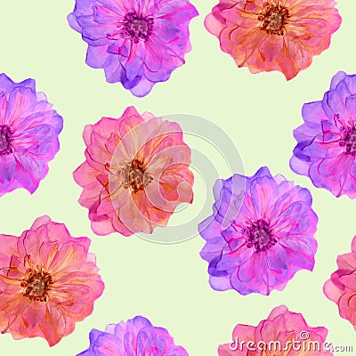 Briar, wild rose. Seamless pattern texture of flowers. Floral ba Stock Photo