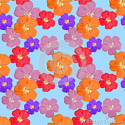 Briar, wild rose. Seamless pattern texture of flowers. Floral background, photo collage Stock Photo