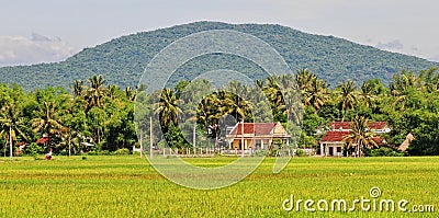 Brick houses with rice field in Quy nhon, Vietnam Stock Photo