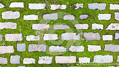 Brick path with moss. Background. Photo. Nobody. Stock Photo